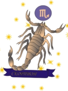 Западный Гороскоп. Скорпион